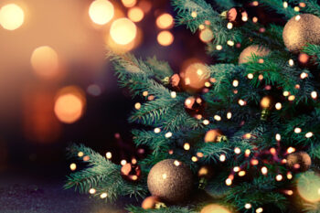 christmas-tree-1 christmas-tree-1
