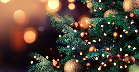 christmas-tree-1 christmas-tree-1